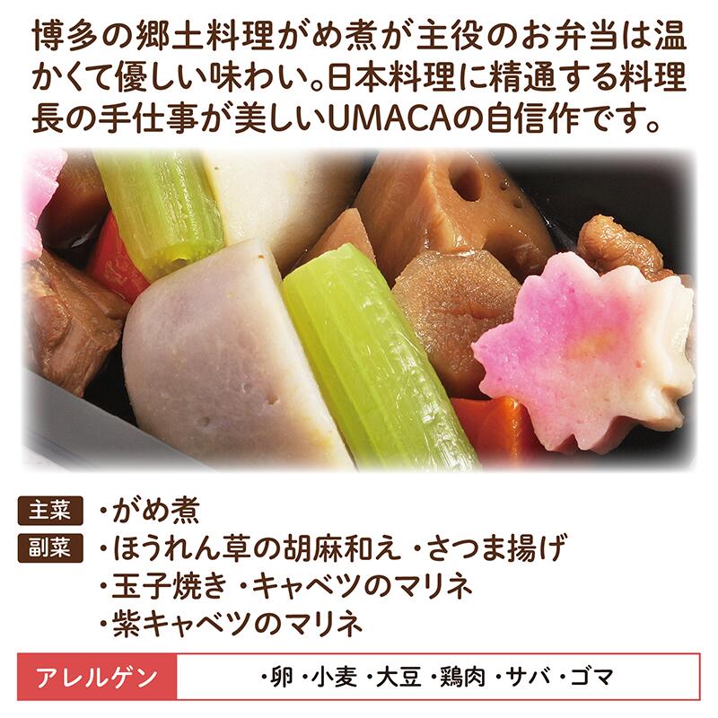 【冷凍おかず 博多がめ煮14食セット】　弁当 簡単 レンチン 冷凍食品 冷凍惣菜 惣菜 九州 ご当地 美味しい グルメ 冷凍おかず通販 高齢者 和食 温めるだけ 和食おかず 美味しいおかず 冷凍弁当 おかず 時短 保存 冷凍惣菜国産 簡単おかず 冷凍お惣菜 冷凍お惣菜お弁当