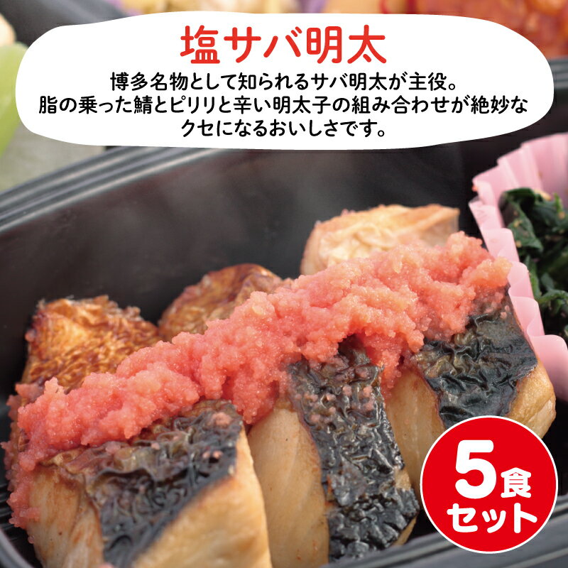 UMACA 塩サバ明太5食セット 冷凍弁当 弁当 簡単 レンチン 冷凍食品 冷凍惣菜 惣菜 九州 ご当地 美味しい グルメ 和食 温めるだけ 時短 保存 塩サバ 明太のサムネイル