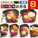 九州名物の冷凍弁当8食セット 冷凍弁当 弁当 簡単 レンチン 冷凍食品 冷凍惣菜 惣菜 九州 ご当地 美味しい グルメ 和食 温めるだけ 時短 保存 その1