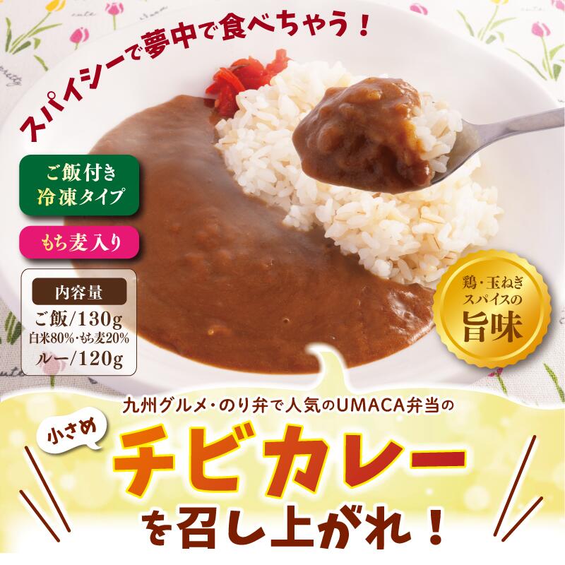 【チビカレー】スパイスカレー チーズ