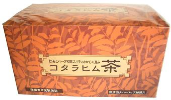 源齋 コタラヒム茶 煮出し用　煎じ用　ティーバッグ大 ダイエット茶　　ゲンサイ