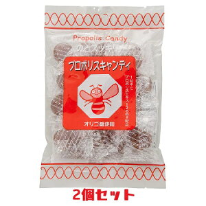 ソーキ プロポリスキャンディ 2袋セット 100g 花粉症対策 のど飴 坑酸化 のどの痛み ニッキ メントール