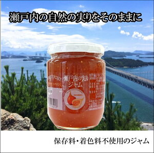 瀬戸内の実りいちじくジャム。6個入 内容量280g【送料無料】