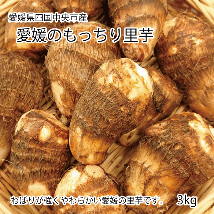 愛媛のもっちり里芋 約3kg　秀品【送料無料】【掘りたて里芋を産地直送】国産 さと芋 ギフト 芋煮 もちもち やわらか 自宅用 普段使い 正月
