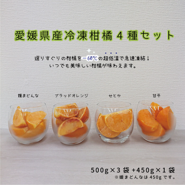 愛媛県産冷凍柑橘4種セット（媛まどんな・ブラッドオレンジ・せとか・甘平）【送料無料】
