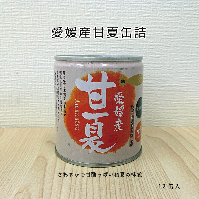 フルーツの甘酸っぱさとシロップの甘みが絶妙な甘夏の缶詰は？