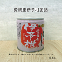 愛媛産伊予柑缶詰24個入【送料無料】