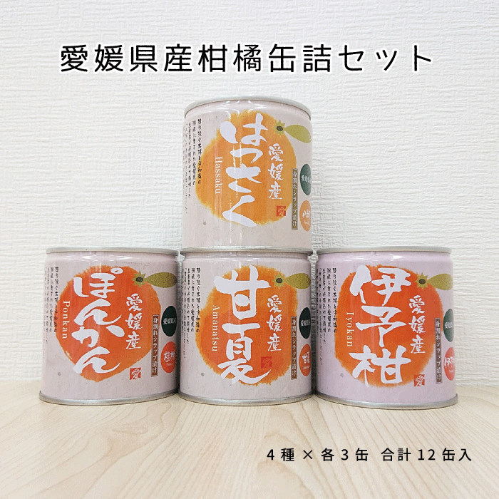 愛媛県産柑橘缶詰(伊予柑・はっさく・甘夏・ぽんかん)セット12個入【送料無料】