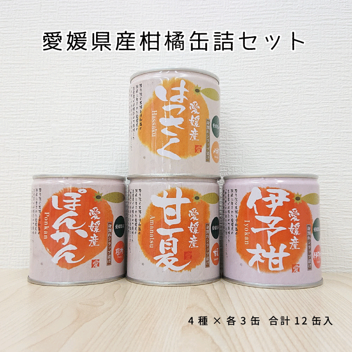 愛媛県産柑橘缶詰(伊予柑・はっさく・甘夏・ぽんかん)セット12個入【送料無料】のサムネイル