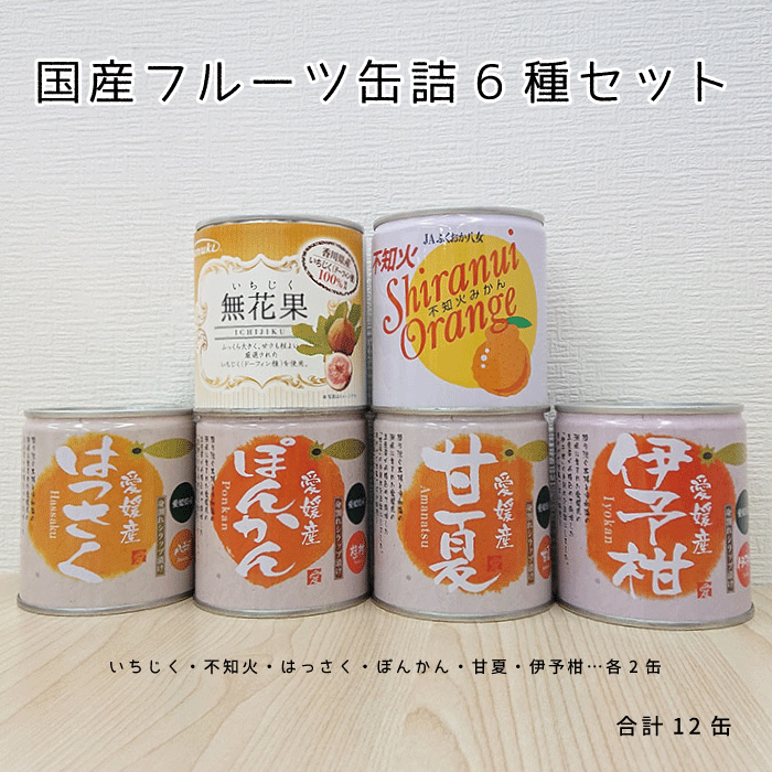 国産フルーツ5号缶詰6種セット(伊予柑・はっさく・ぽんかん・甘夏・いちじく・不知火)12個入【送料無料】のサムネイル
