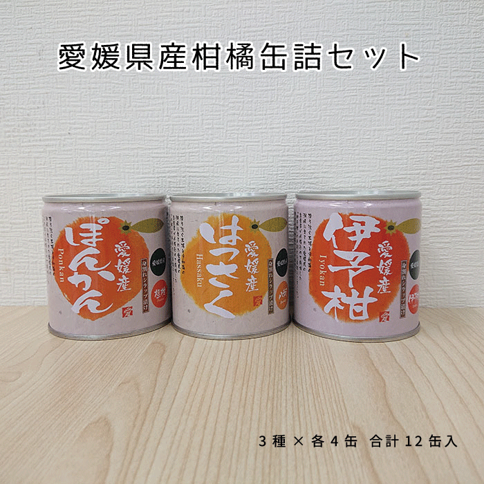 愛媛県産柑橘缶詰(伊予柑・はっさく・ぽんかん)セット12個入【送料無料】のサムネイル