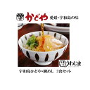 ケンミンショー■宇和島鯛めし かどや 3食■郷土料理100選...