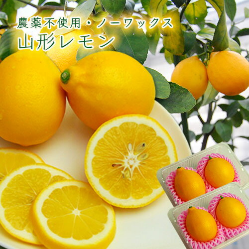 山形レモン（農薬不使用・ノーワックス）