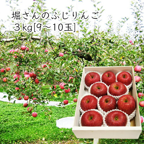 2024年10月頃～予約開始予定|堀さんのふじりんご約3kg（9〜10玉前後）[化粧箱入]のサムネイル