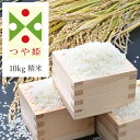 《うまいず米》山形県産つや姫10kg精米(5kg×2袋)＜令和5年度産＞