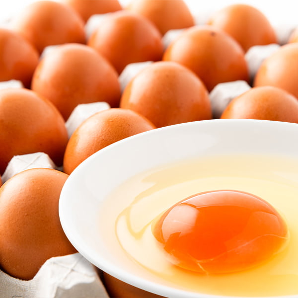 半澤鶏卵/純国産鶏種いではのもみじ 紅(あか)25個入(Lサイズ)