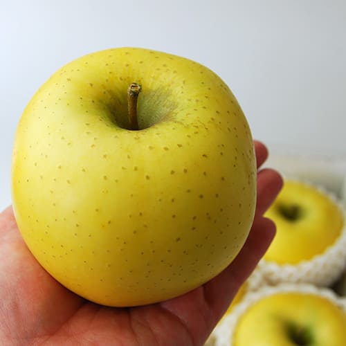 プレミアム青りんご3kg(7～12玉)