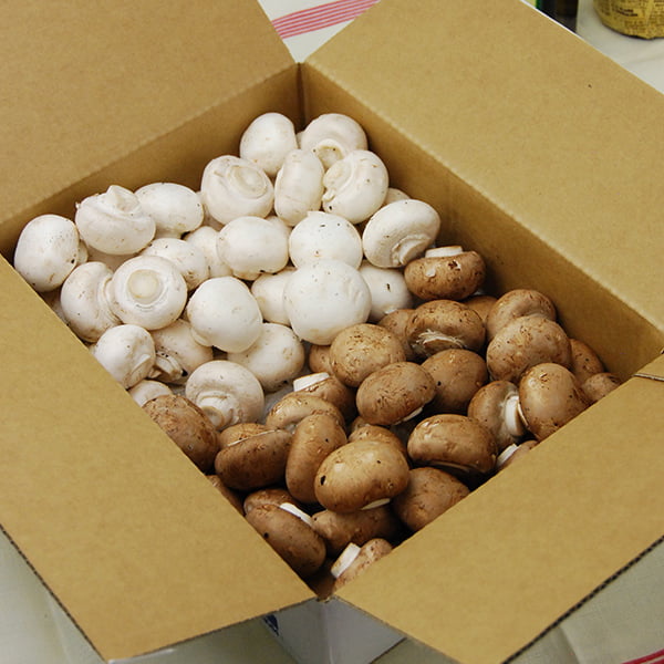 舟形マッシュルームバラ詰約1kg ミックス