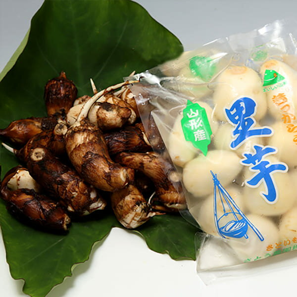 2024年6月頃～予約開始予定|山形特産洗い里芋(特選A品500g×1袋)のサムネイル
