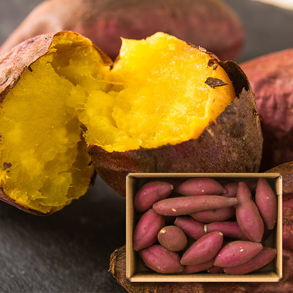 KIUEMON／熟蜜さつまいもシルクスイート約2kg