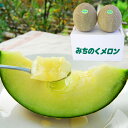 予約受付中:7月下旬頃より発送予定|極上タカミメロン大玉2玉(青肉2玉)