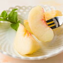 予約受付中:9月上旬頃より発送予定|プレミアム白桃さくら約2kg(6~9玉)(4)