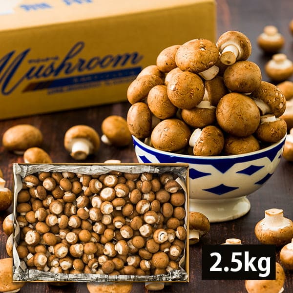 【 訳あり 】 舟形マッシュルーム 約2.5kg ( ブラウン / バラ詰め / 箱入り ) 山形県産 マッシュルーム 2.5キロ 国産 生食 きのこ キノコ 茸 料理 調理 自宅用 家庭用 山形産 食物繊維 ビタミン たんぱく質 タンパク質 業務用 お取り寄せ グルメ 人気