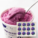 100BERRIES/ブルーベリージェラート12個(4)