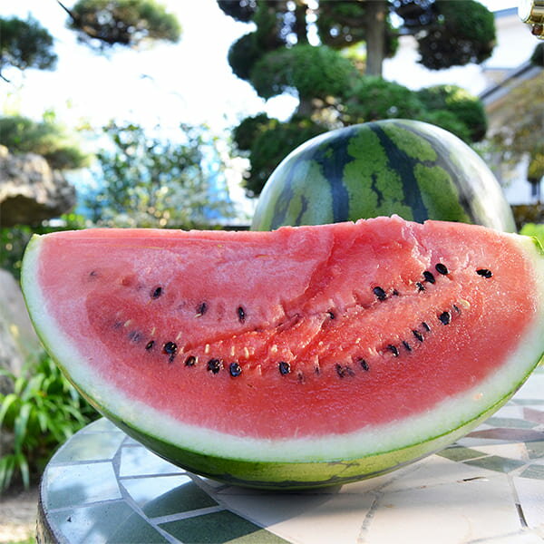 【2025年完売】2026年6月頃～予約開始予定|《訳あり》山形のすいか羅皇(らおう)1玉(2Lサイ ...