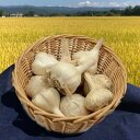 《根・土つき》山形の生にんにく約500g