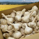 《根・土つき》山形の生にんにく約3kg
