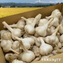 《根・土つき》山形の生にんにく約5kg