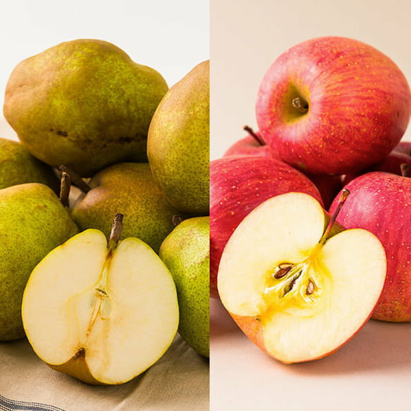 予約受付中:11月下旬頃より発送予定|【数量限定】里見果樹園/《訳あり》ラ・フランスとサンふじりんごのセット約10kg(各5kg)