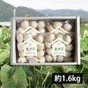 予約受付中:10月中旬頃より発送予定|開沼清十郎の洗い里芋 悪戸芋(あくといも)約1.6kg(400g×4袋)