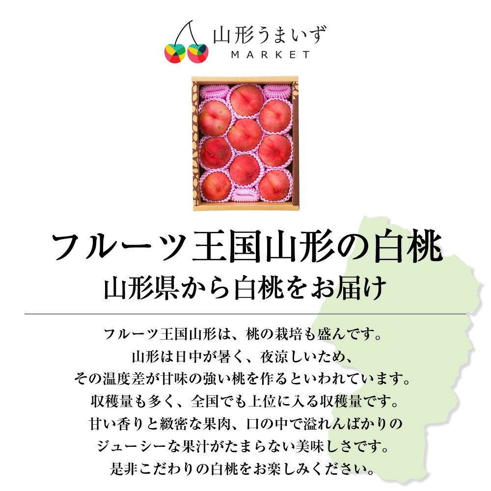 【5日20時から2時間限定＼ポイント2倍／】 《訳あり》山形の白桃 約3kg 旬の品種(7〜13玉) 白桃 もも モモ 果物 くだもの フルーツ ご家庭用 ご自宅用 訳あり 訳アリ 完熟 完熟桃 旬 お得 お買い得 お取り寄せ 人気 山形県産 山形白桃 産地直送 ジャム スイーツ umaies-10002350 山形うまいずマーケット サンプル画像2