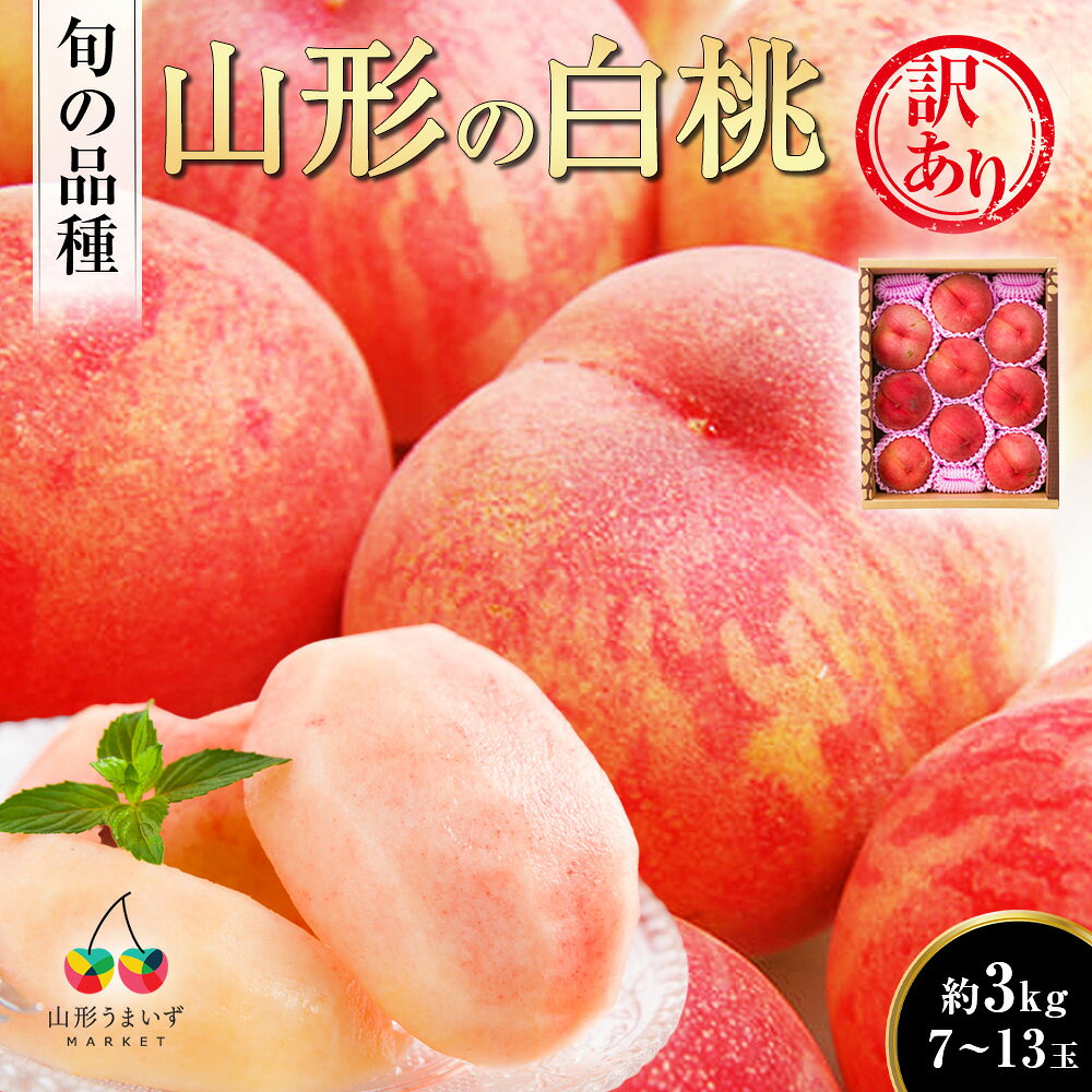 【5日20時から2時間限定＼ポイント2倍／】 《訳あり》山形の白桃 約3kg 旬の品種(7〜13玉) 白桃 もも モモ 果物 くだもの フルーツ ご家庭用 ご自宅用 訳あり 訳アリ 完熟 完熟桃 旬 お得 お買い得 お取り寄せ 人気 山形県産 山形白桃 産地直送 ジャム スイーツ umaies-10002350 山形うまいずマーケット パッケージ画像