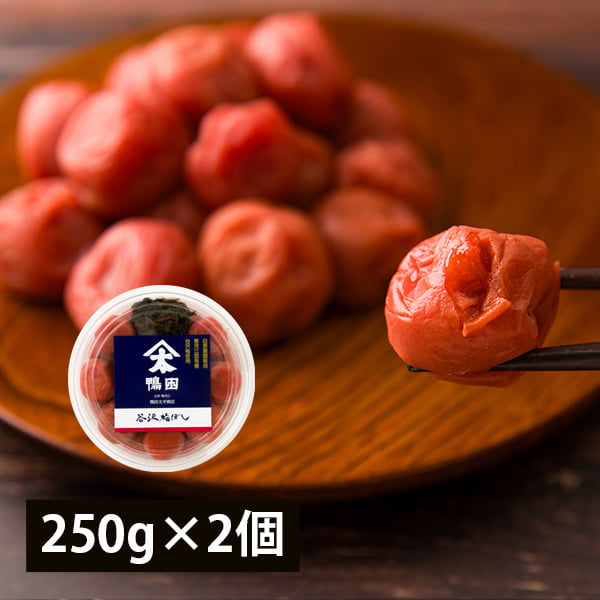 鴨田太平商店／谷沢梅ぼし250g×2個