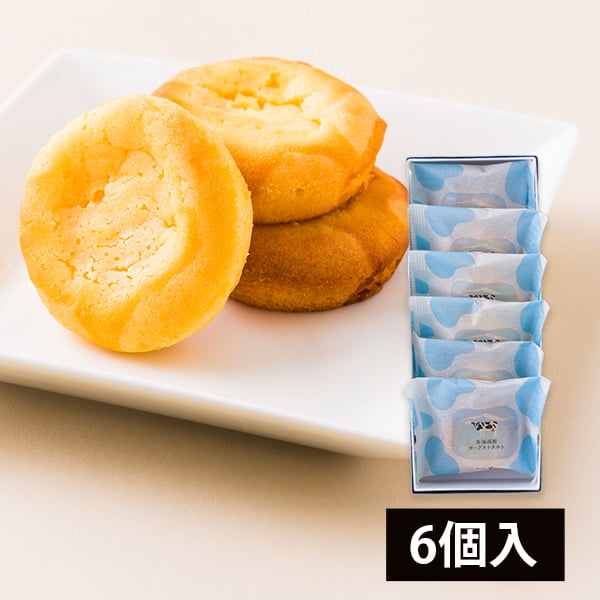 酒田菓匠菊池／鳥海高原ヨーグルトタルト6個入