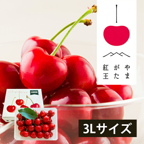 特選さくらんぼ やまがた紅王 350g バラ詰 3Lサイズ 贈答 お中元 大粒 3L