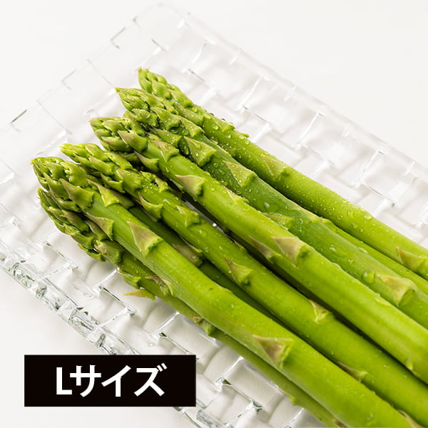 楽天市場】アスパラガス lサイズの通販