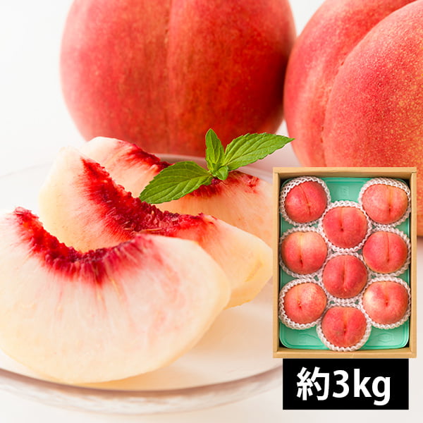 名称 白桃　品種：伊達白桃 内容量 約3kg(9玉前後) 産地 山形県山形市 生産者 明治たかはし農園（山形県山形市） のし 対応可 お届け時期 9月上旬～9月中旬 　 発送が始まってからのご注文の場合は、ご注文・ご入金から10日前後で お届けとなります。 但し、天候の影響や生育状況等により、上記の通りでない場合もございます。 収獲でき次第、ご予約順に発送いたしますので予めご了承下さいませ。 お届け方法 ※誠に申し訳ございませんが、この商品の沖縄県へのお届けは承っておりません。 ご注意 ●季節商品のため配送日指定は承っておりません。時間指定は承れます。 （ただし、時間指定をすると本来お届けできる日程よりも遅くお届けになる可能性があるためおすすめしておりません。ご注意くださいませ。） ●箱、詰め方は画像と異なる場合がございます。 ●納品書、請求書など金額のわかるものは同封しておりません。 ●保証期間は到着日限りとさせていただきます。 ●ギフト対応でご注文される方は、受け取られる方へ予めご連絡しておく事をお勧めいたします。長期不在等で商品の傷みが増したり、受け取ることが出来なかった場合、責任をお受けいたしかねますので、予めご了承ください。芳醇白桃 伊達白桃約3kg(9玉前後) 繊細な甘さと優雅な香り、なめらかな果肉の伊達白桃 山形県産「伊達白桃」は、その繊細な甘さと滑らかな果肉で多くの人々に愛される白桃です。山形の豊かな自然と寒暖差が育むこの白桃は、ひと口食べるたびに、みずみずしい果汁とふんわり広がる優雅な香りが心地よく広がります。そのまま味わうのはもちろん、スイーツや贈り物としても最適。山形の大地が育てた特別な美味しさを、この機会にぜひお楽しみください。旬の味覚を逃さずお早めにどうぞ！ 山形市で3代続く明治たかはし農園 山形市明治地区にて3代に渡って果樹栽培をおこなう明治たかはし農園では、桃以外にもさくらんぼ、ネクタリン、ラフランスなど、様々な果物を栽培しています。 高橋さんは、農業試験場にて土壌と環境が作物を好適に生かす元になっていることを学んだ経験から、感覚値ではなくデータ分析に基づいた水やりや施肥をおこなうなど、日々研究を重ねながら果樹栽培に取り組んでいます。 山形の大地が育てた特別な美味しさを、この機会にぜひお楽しみください。旬の味覚を逃さずお早めにどうぞ！