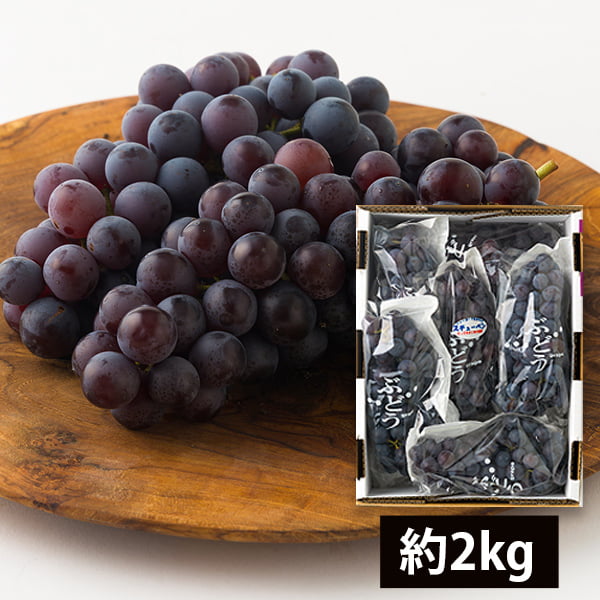 名称 ぶどう（スチューベン） 内容量 約2kg(7房前後) 産地 山形県東根市 生産者 山道農園（山形県東根市） のし 対応可（名入れ可能） お届け時期 9月下旬～11月上旬 　 発送が始まってからのご注文の場合は、ご注文・ご入金から10日前後で お届けとなります。 但し、天候の影響や生育状況等により、上記の通りでない場合もございます。 収獲でき次第、ご予約順に発送いたしますので予めご了承下さいませ。 お届け方法 ※誠に申し訳ございませんが、この商品の沖縄県へのお届けは承っておりません。 ご注意 ●季節商品のため配送日指定は承っておりません。時間指定は承れます。 （ただし、時間指定をすると本来お届けできる日程よりも遅くお届けになる可能性があるためおすすめしておりません。ご注意くださいませ。） ●箱、詰め方は画像と異なる場合がございます。 ●納品書、請求書などは同封しておりません。 ●保証期間は到着日限りとさせていただきます。 ●ギフト対応でご注文される方は、受け取られる方へ予めご連絡しておく事をお勧めいたします。長期不在等で商品の傷みが増したり、受け取ることが出来なかった場合、責任をお受けいたしかねますので、予めご了承ください。山道農園のぶどう甘美スチューベン約2kg(7房前後) 甘みたっぷり！香り豊かなぶどう「スチューベン」 「スチューベン」は、アメリカ生まれのぶどうで、1947年に発表され、日本には1952年に導入された歴史ある品種です。その特徴は、なんといっても濃厚な甘み！糖度が高く酸味が少ないため、しっかりした甘さを感じられます。さらに、香りがよく果汁もたっぷり。粒の大きさも中粒で食べやすいサイズです。 また、生産者の山道農園のこだわりも格別で、樹上で完熟するまでじっくり育てられ、最も美味しいタイミングで丁寧に収穫されています。そのため、一粒一粒が濃厚な味わいに仕上がっています。さらに、日持ちが良いのもこのぶどうの嬉しいポイントです。 伝統の「長梢栽培」が生み出す、深い味わいの秘密 横尾さんの農園では、現在では珍しくなった「長梢栽培」という伝統的な栽培方法を守り続けています。この方法は、ぶどうの枝を長く伸ばして育てる技術で、一般的な短梢栽培に比べて手間も時間もかかりますが、その分、ぶどうの品質と味わいが格段に向上します。 長梢栽培の最大の特徴は、ぶどうの樹が持つ自然な力を最大限に引き出せることです。枝を長く伸ばすことで、より多くの葉から養分を取り込み、実に栄養が行き渡ります。その結果、小粒ながらも味が濃く、甘みと酸味のバランスが取れた上質なぶどうが育ちます。また、農薬や肥料の使用を最小限に抑えることで、土壌の健康を保ち、環境にも配慮しています。 自然の恵みを大切にしながら、本物の美味しさを追求する。それが横尾さんのぶどう作りの哲学です。手間を惜しまず、一房一房丁寧に管理することで、皆様に本当に美味しいと思っていただけるぶどうをお届けしています。 4軒だけが守る、東根市日塔地区の誇り 山形県東根市日塔地区は、かつて20軒ものぶどう農家が集まる一大産地でした。しかし時代の流れとともに農家の数は減少し、現在では横尾さんを含む4軒のみが、この地域の伝統的なぶどう栽培を守り続けています。 横尾さんは、代々受け継がれてきた技術と経験を大切にしながら、「本当に美味しいと思えるぶどうをお届けしたい」という強い信念のもと、ご家族とともにぶどう作りに励んでいます。収穫したぶどうは必ずご家族全員で試食し、全員が「美味しい」と納得したものだけを出荷するという徹底ぶりです。 この地域のぶどう農家が減少する中、横尾さんは伝統を守ることの大切さを感じています。「私たちが作るぶどうには、この土地の歴史と、先人たちの知恵が詰まっています。それを次の世代にも伝えていきたい」と語ります。 秋の味覚として贈り物にも、ご自宅用にも最適な「スチューベン」。その甘さとジューシーさを、ぜひ一度ご堪能ください！ 取材スタッフより 東根市といえば果樹王国のイメージですが、その東根市でぶどうを中心に栽培している山道農園さん。山道農園の横尾さんは、元々サラリーマンでしたが、お父様から後を継ぎ、ぶどう農家をされることになったそうです。農業について熱い情熱を持ち、質問すると色々お話ししてくださいます。横尾さんが作るデラウェアを試食しましたが、一粒一粒がとても濃厚な甘みで果汁たっぷりでした。見た目も立派です。こだわって作っているのも納得の味です。 店長　石川