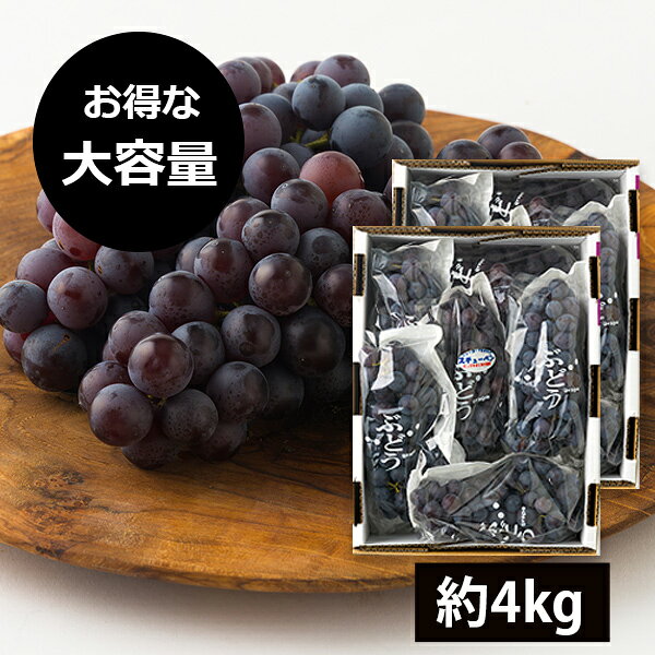 今が旬！発送期間中|【大容量でお得！】山道農園のぶどう甘美スチューベン約4kg(14...