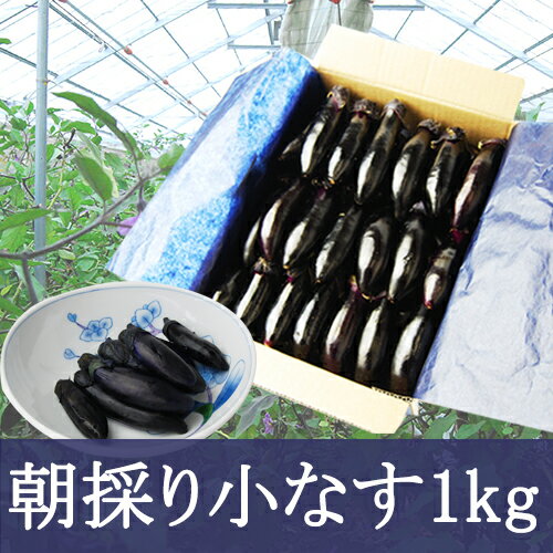 朝採り小なす1kg