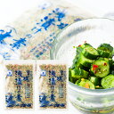 大正館食品/酒田の塩 浅漬けの素2袋セット(125g×2袋)