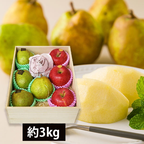 ͽ桧11ܺȯͽ|Խ̡ܲեץߥե󥹤Ȥդ3kg(4)[Ȣ]