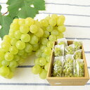 予約受付中:9月上旬頃より発送予定|松田さんの ぶどう ハニーシードレス 約2kg ( 8房前後 ) ブドウ 葡萄 2キロ 大容量 山形県産 種なし 種無し 箱入り 山形 人気 フルーツ 果物 くだもの 家庭用 自宅用 贈り物 ギフト プレゼント お祝い お供え 法事