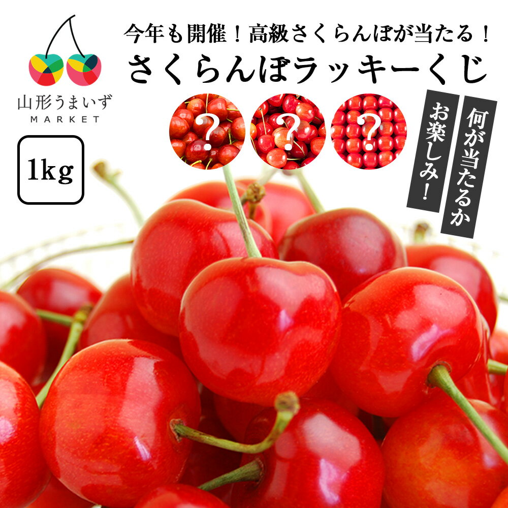 【 山形県産 さくらんぼ ラッキーくじ 1kg 】 6月中旬～7月上旬頃発送予定 佐藤錦 紅秀峰 その他の品種 ギフト M L サイズ 産地直送 バラ詰め ばら詰め 並び詰め 自宅用 家庭用 おうち用 東根…