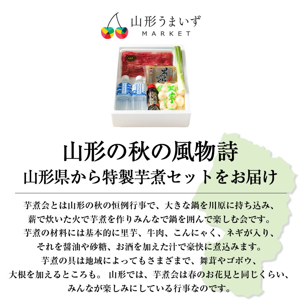 サンプル画像2