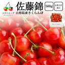 予約受付中:6月中旬頃より発送予定| プレミアム さくらんぼ 佐藤錦 500g ( Lサイズ 以上 / バラ詰め ) ギフト 山形県産 サクランボ チェリー フ...